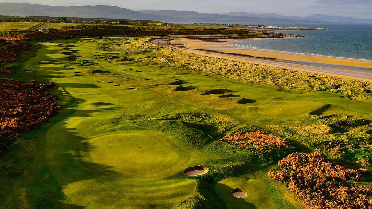 Whisky & The Links
