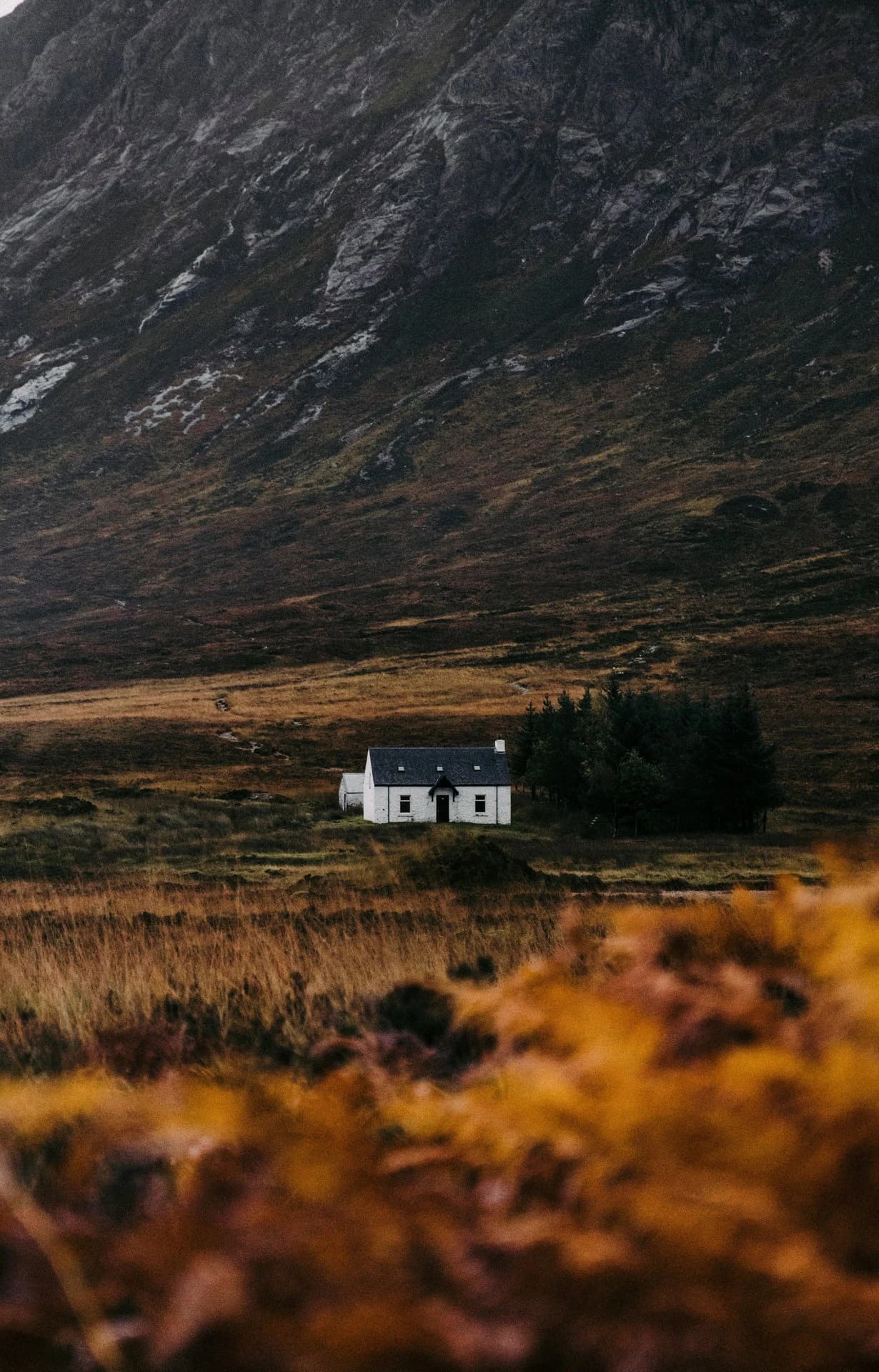 Image by Colin + Meg
