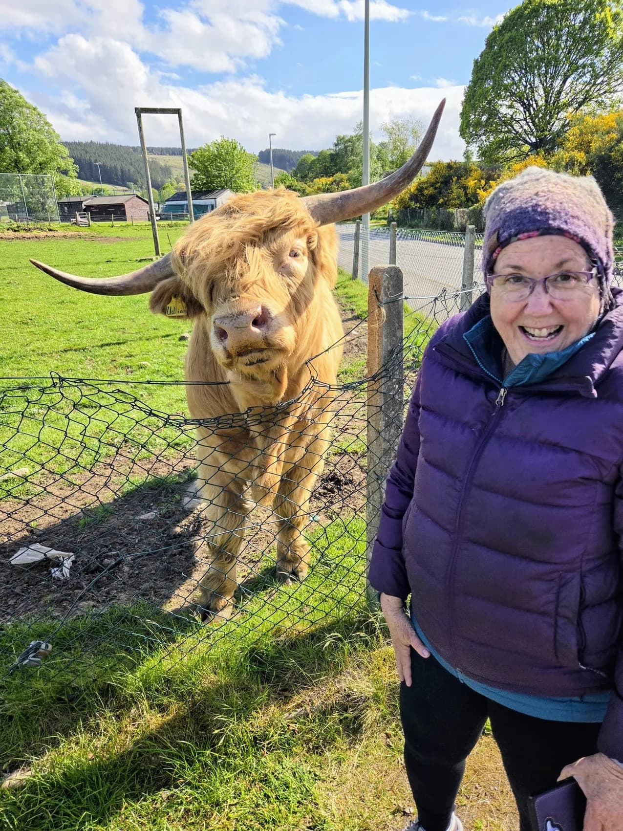 Debbie smiling beside a Highland cow