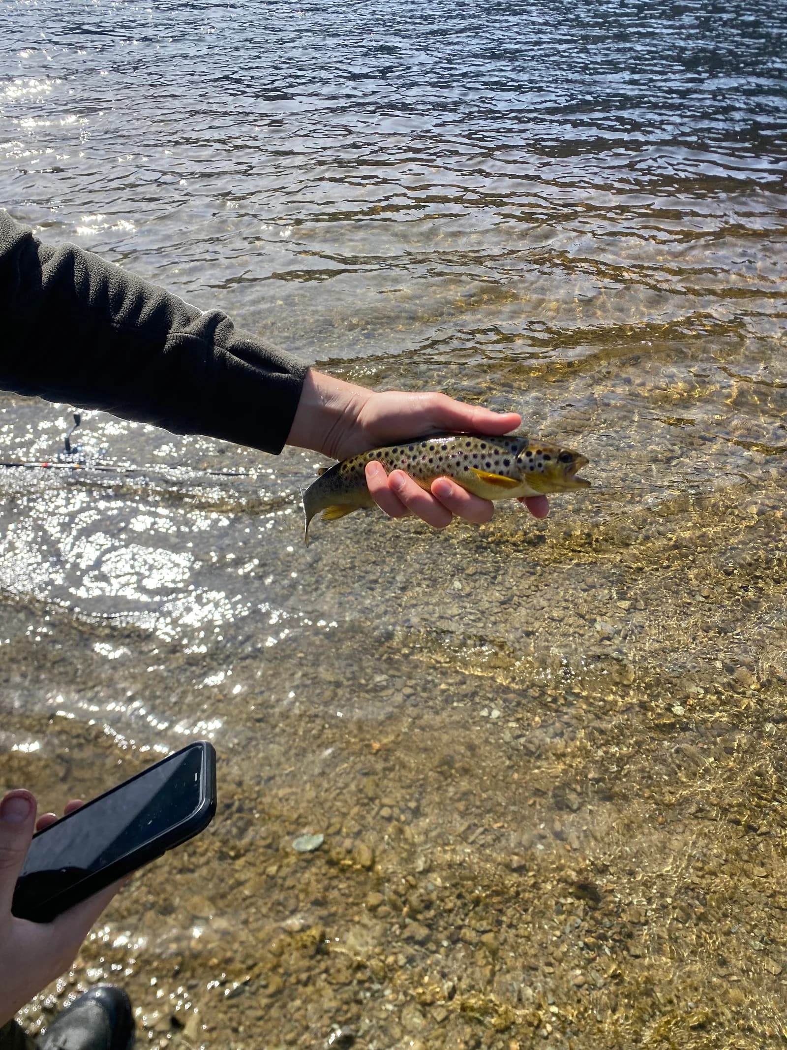 A small trout held above clear loch water