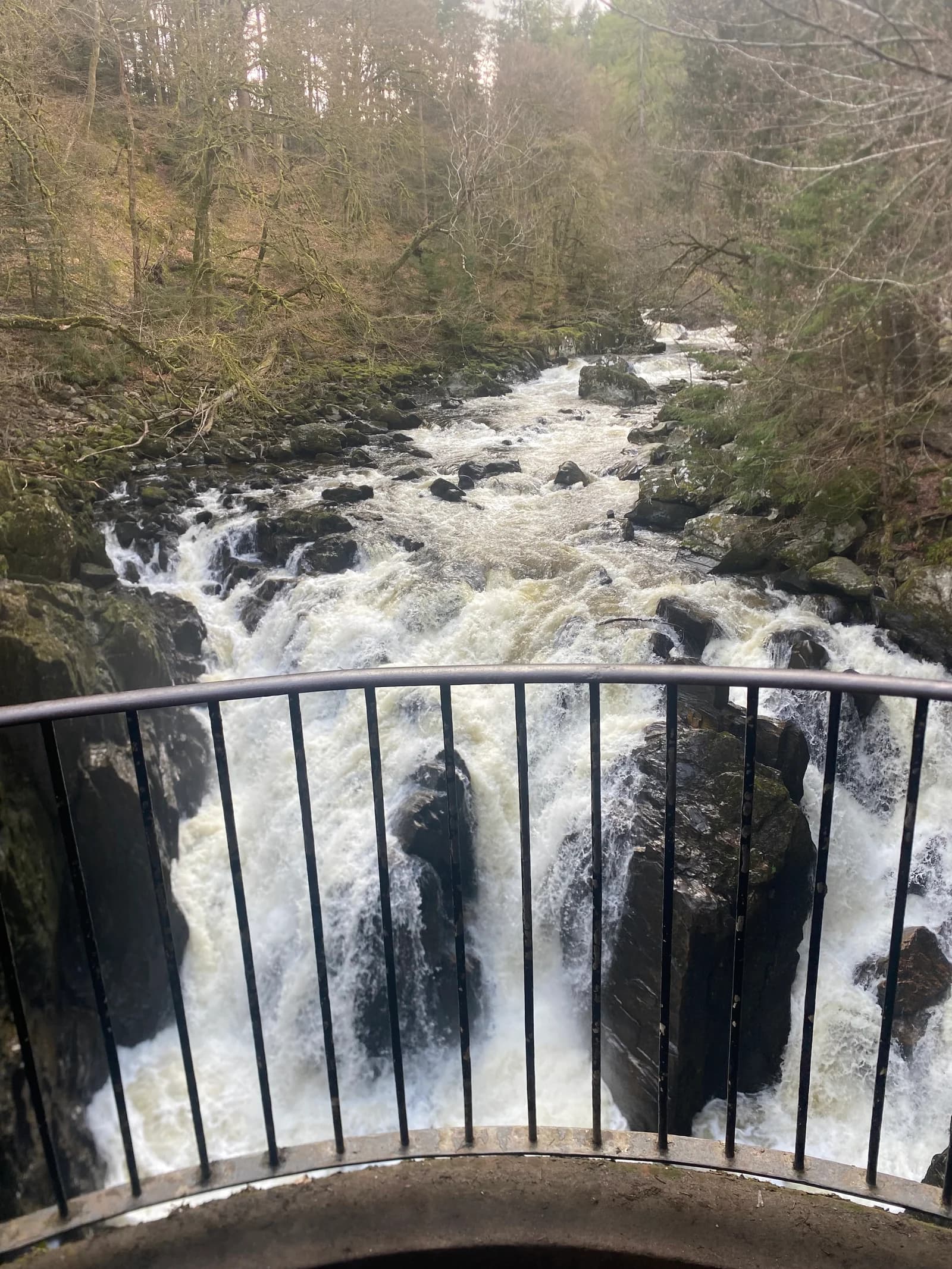 Water flowing through a wooded gorge beneath a footbridge