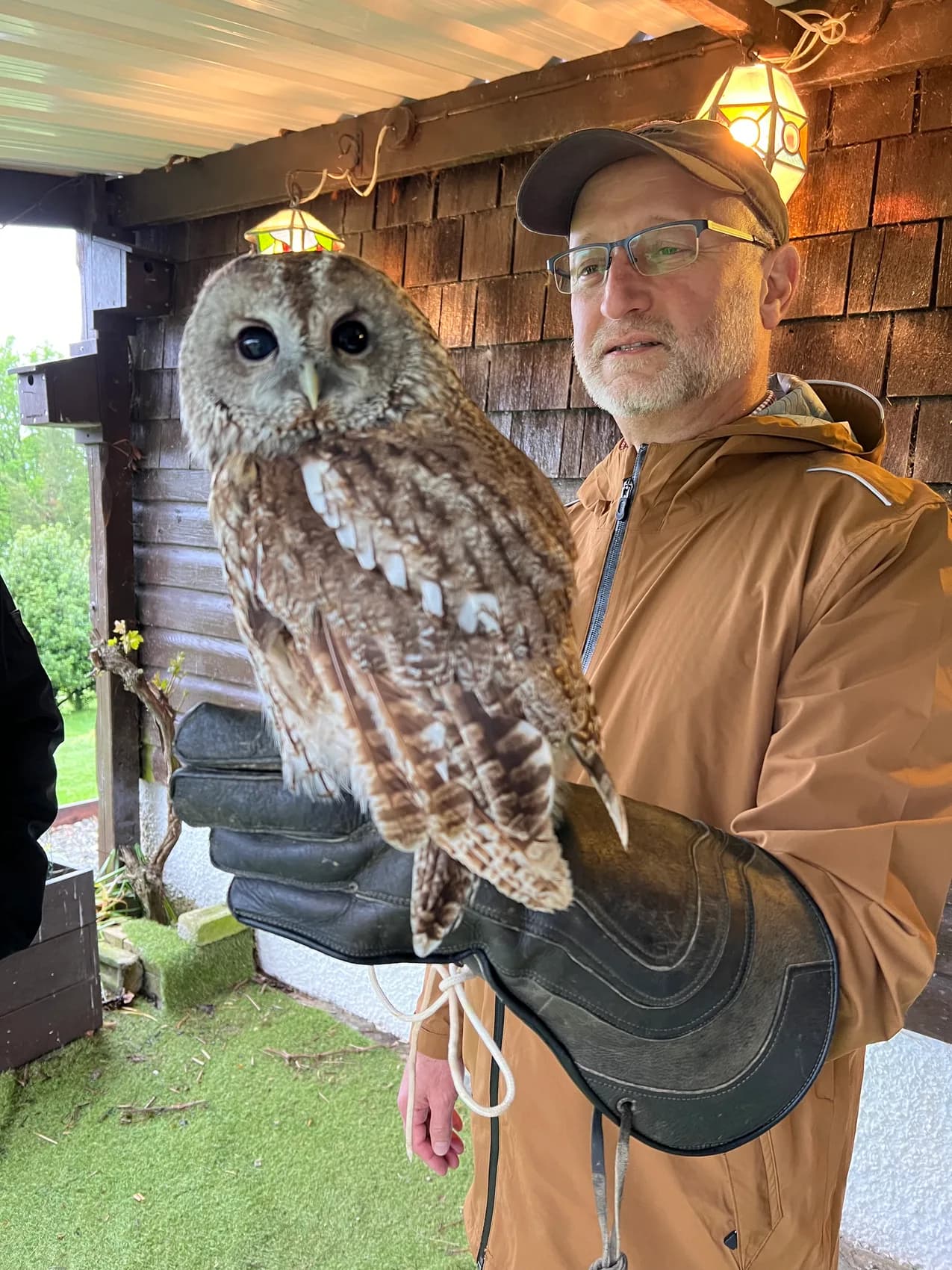 Patrick holding an owl on a falconry glove