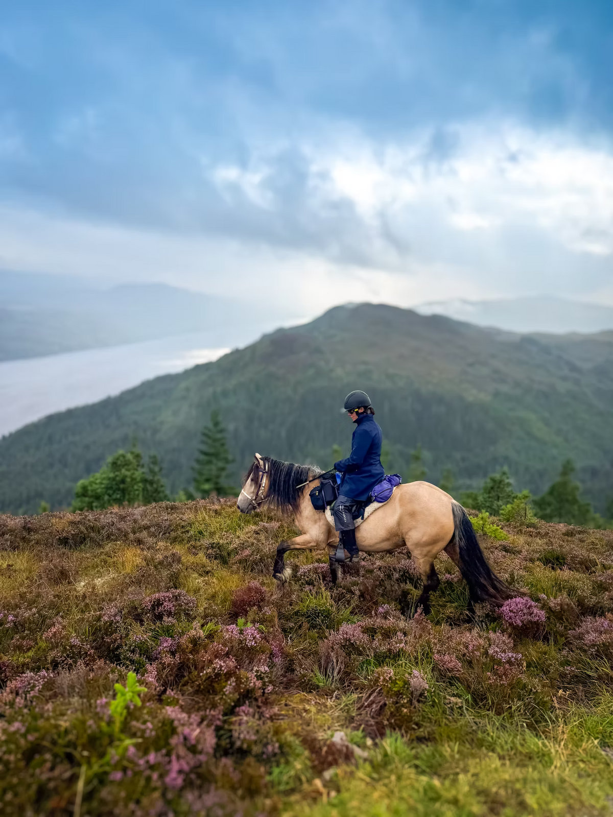 Horseback